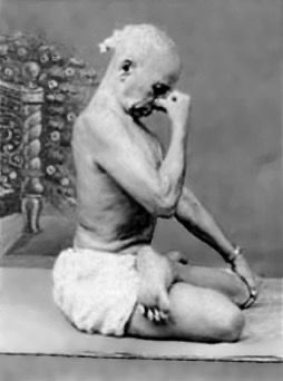 Posture assise en torsion, yoga traditionnel — illustration du Hatha Yoga